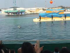 -秦皇岛乐岛海洋王国