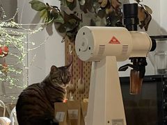 -栖咖啡(泉舜店)