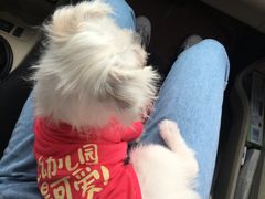 -爱诺耐芙动物医院(万博店)