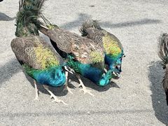 -水上乐园·欢乐世界