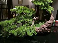 -青雅中餐厅(大连金石滩绿发希尔顿度假酒店)