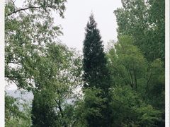 -碓臼峪自然风景区