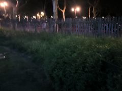 -世纪公园-世纪春沁园