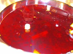 -肖肖酸萝卜鱼火锅(总店)