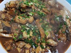-全乐鱼馆·淳牌有机鱼直营店