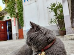 -长兴菜馆(高桥店)