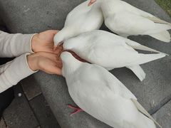 -人民广场