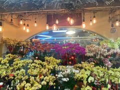 -溪岸路花鸟市场