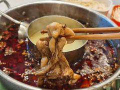 -蛙两只美蛙鱼头火锅(恒茂店)