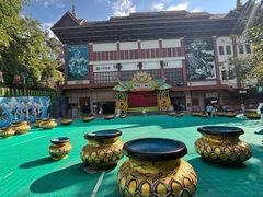 -西双版纳原始森林公园