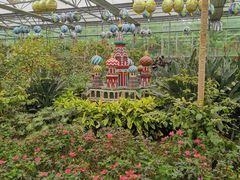 -南宫五洲植物乐园