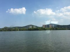 -长兴太湖图影湿地文化园