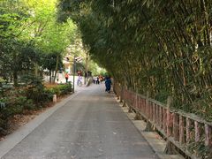 -贵阳市花溪国家城市湿地公园