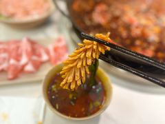 -朱氏胖子烂火锅(洪崖洞店)