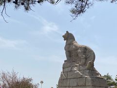 -帽儿山国家森林公园