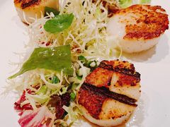 -Oyster Talks 四度蚝法餐厅