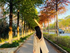 -上海长兴岛郊野公园