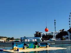 -秦皇岛乐岛海洋王国