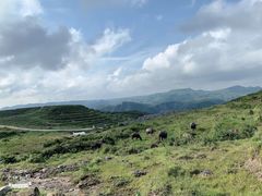 -贵州云顶草原民族风情园