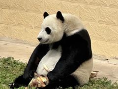 -石家庄市动物园