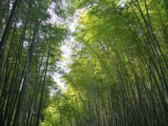 -苏州环秀晓筑养生度假村