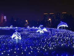 -长春世界雕塑园冰雪艺术天地