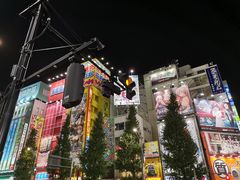-秋叶原电器街