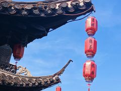-盆景园(扬州大运河文化旅游度假区)