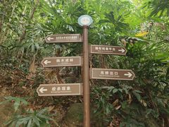 -海南热带雨林国家公园吊罗山景区