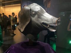 -广西壮族自治区博物馆