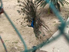 -广东花都香草世界旅游度假区