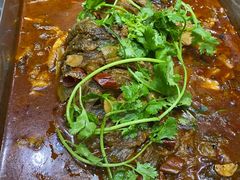 -新珠城鱼坊(龙湖店)