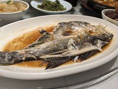 -真定郝家排骨(正定县总店)