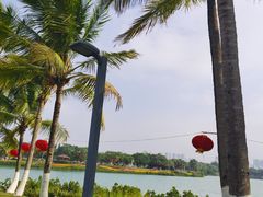 -万绿园