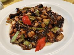 -新侨小馆(东直门北小街店)