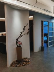 -C-18 SALON