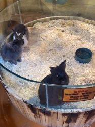 -奇幻萌宠部落(映月湖环宇城店)