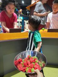 -幻贝家儿童乐园(哈尔滨王府井店)
