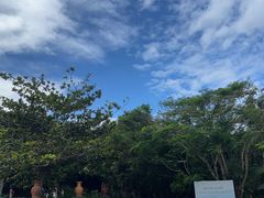 -三亚亚龙湾人间天堂鸟巢度假村
