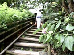 -南紀白浜 浜千鳥の湯 海舟