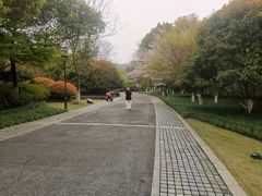 -杭州城北体育公园