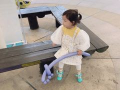 -合肥滨湖国家森林公园