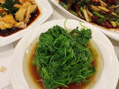 -海金滋(陕西南路店)