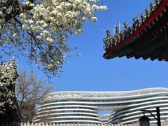 -马子禄牛肉面(金宝街店)