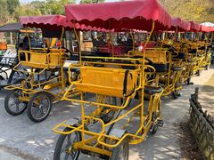 -上海长兴岛郊野公园