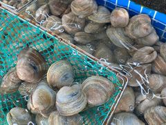 -红月湾海鲜饭店•沙滩海景(双月湾店)