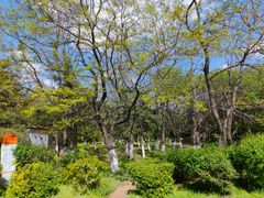 -长白岛森林公园