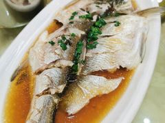 清蒸鲜白鱼-西新饭店(城中店)