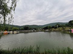 -龙寺生态园