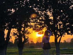 -汉长安城未央宫国家考古遗址公园